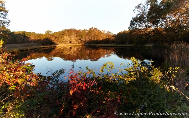 Fall color and still water