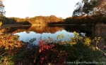 CN6F6624Bay-Sunrise-1