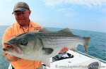 Captain Blain Anderson holds up a cow striped bass