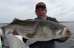 Captain Jim White with a monster shallow water striper held up for the camera