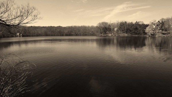 Barny Pond