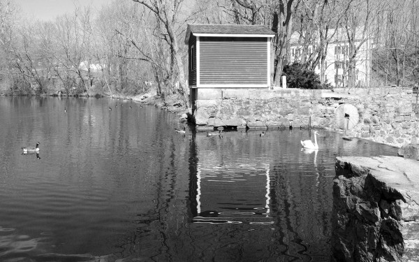 Barny Pond Dam House