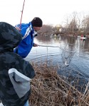 Father steadies the net for another trout