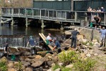 A group of volunteers help fish and wildlife scoop herring